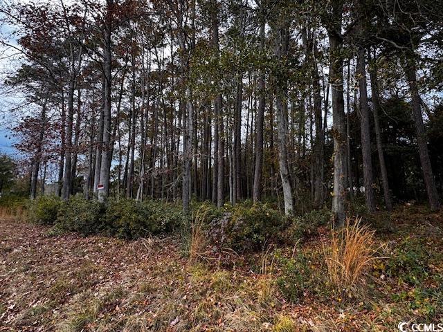 LOT8 Luck Ave, Little River, SC 29566 - photo 1