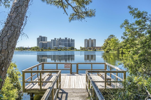 dock area with a water view