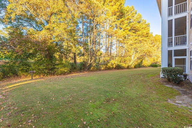 view of yard