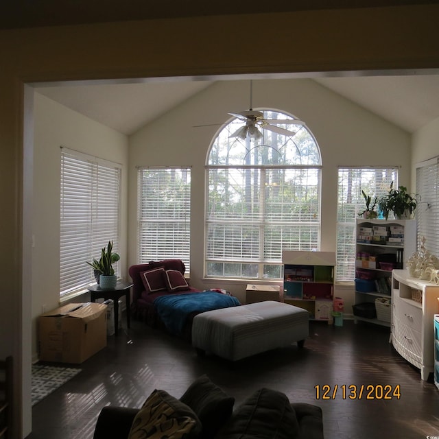 interior space featuring dark wood-type flooring and vaulted ceiling