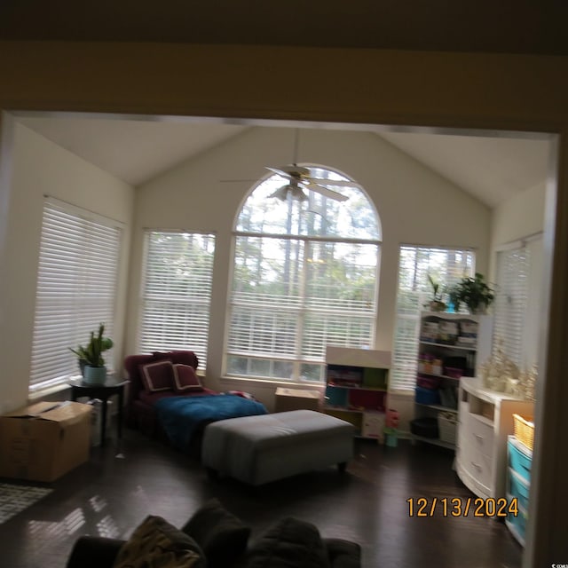 interior space with ceiling fan and lofted ceiling