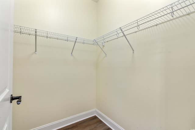 walk in closet featuring hardwood / wood-style flooring