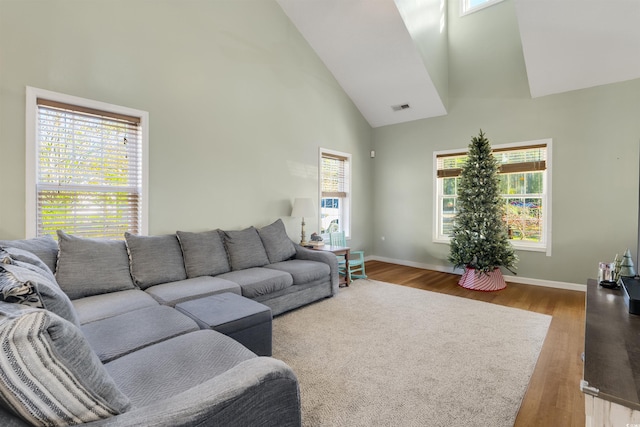 living room with hardwood / wood-style flooring, high vaulted ceiling, and a healthy amount of sunlight