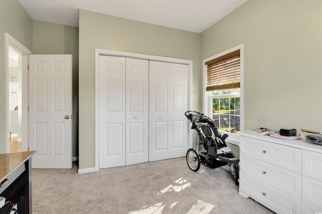 interior space with light colored carpet