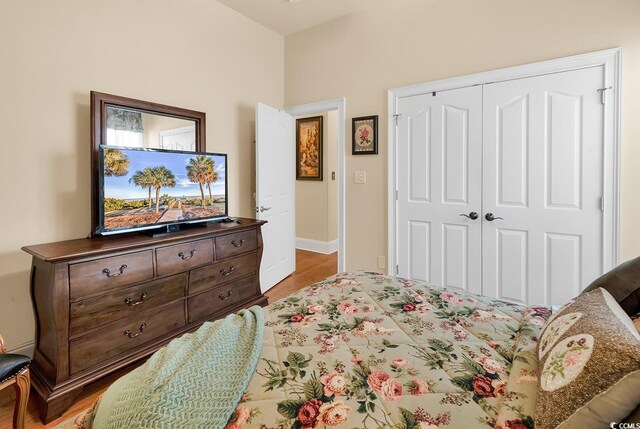 5603 Leatherleaf Dr, North Myrtle Beach, SC 29582 - bedroom featuring wood finished floors and a closet