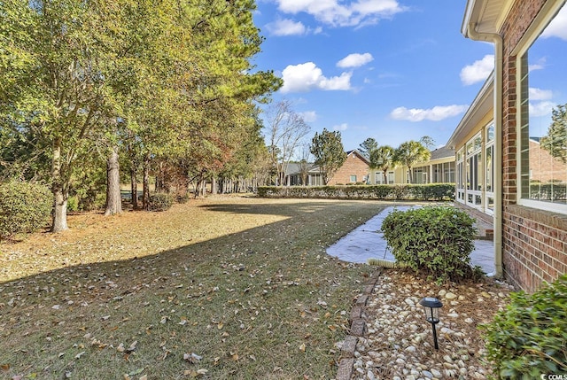 view of yard featuring a patio area