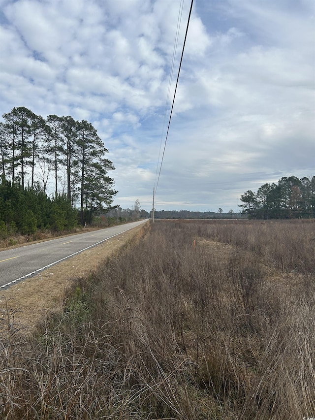 TBD Williams Hill Rd, Hemingway SC, 29554 land for sale