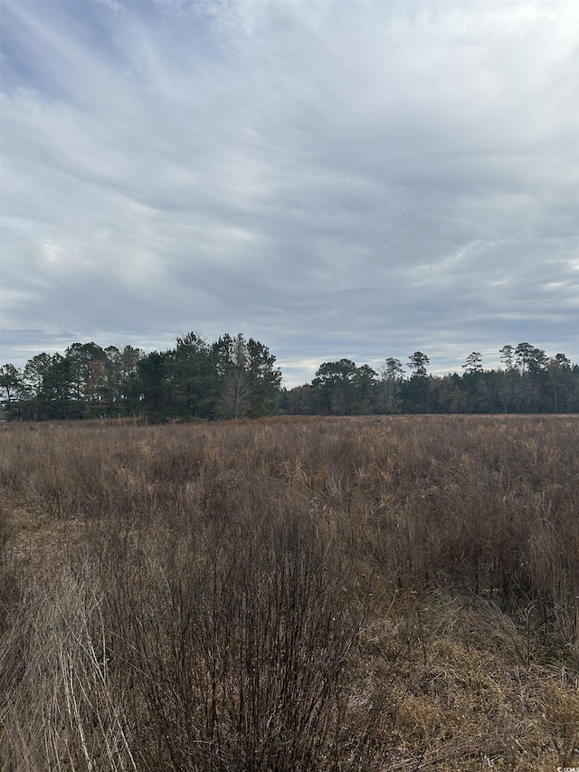 Listing photo 2 for TBD Williams Hill Rd, Hemingway SC 29554