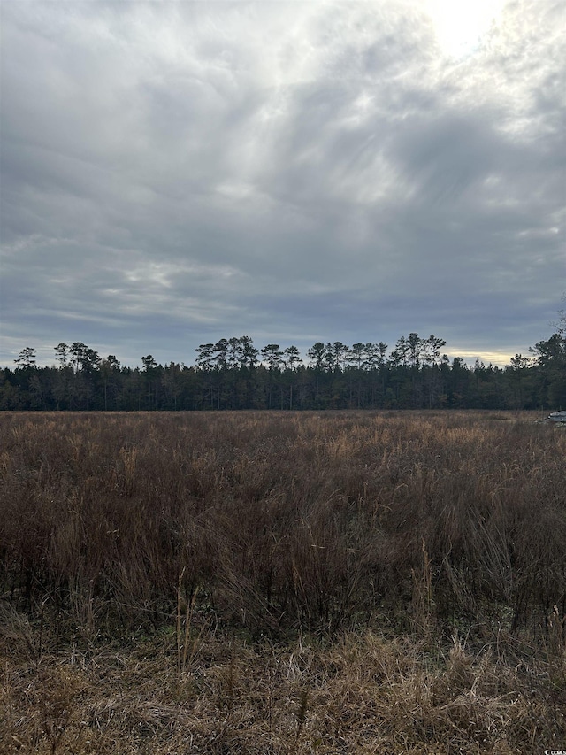 Listing photo 3 for TBD Williams Hill Rd, Hemingway SC 29554