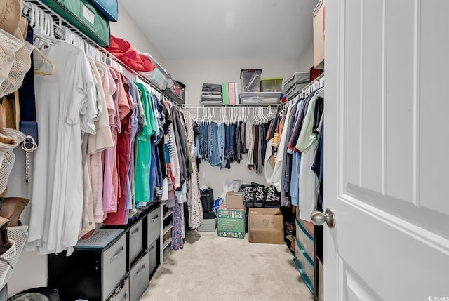 walk in closet featuring light carpet