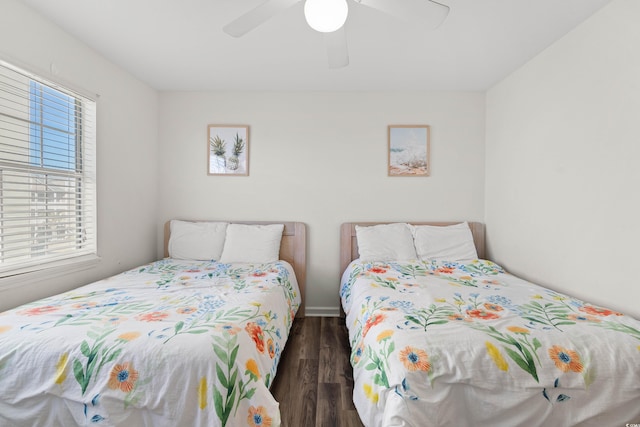 bedroom featuring ceiling fan, dark wood-type flooring, and multiple windows