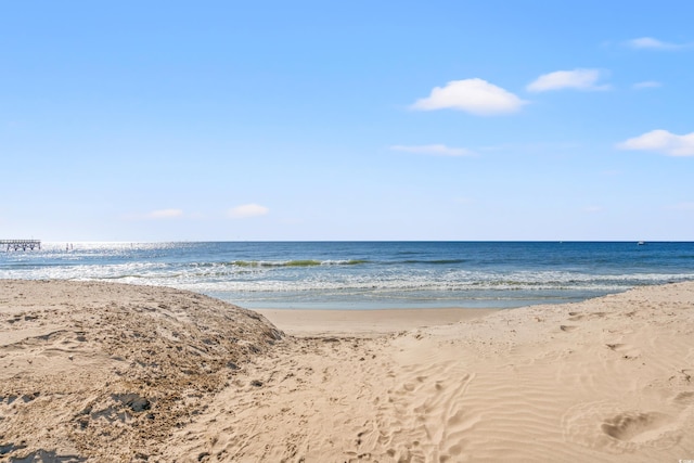 water view with a view of the beach