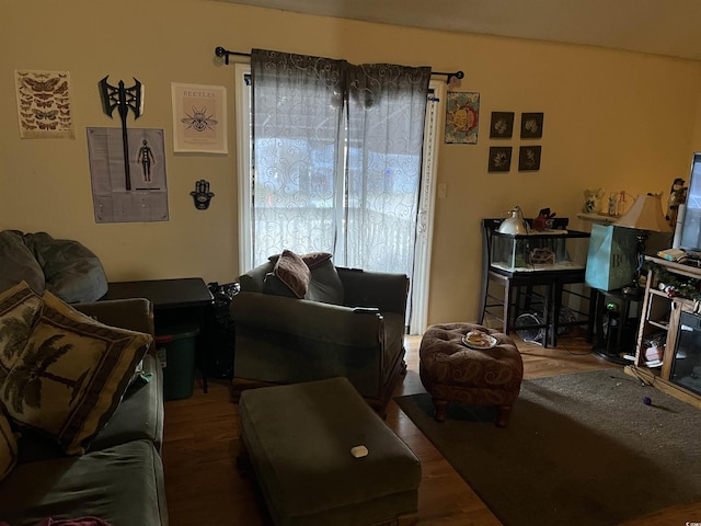 living room with dark wood-type flooring