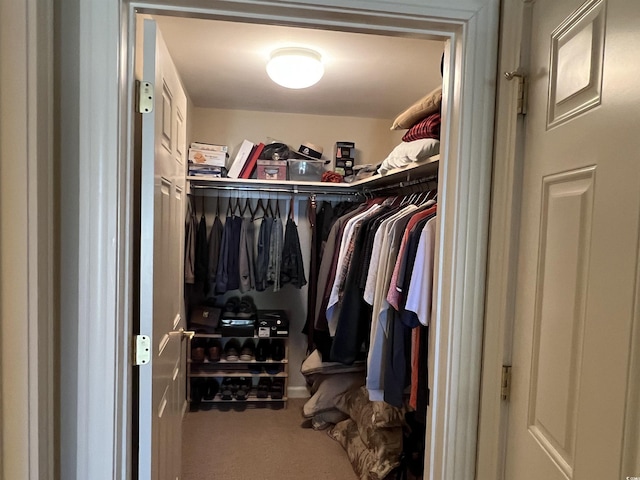 spacious closet featuring carpet floors