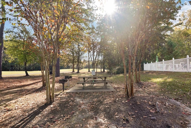 view of yard with a patio area