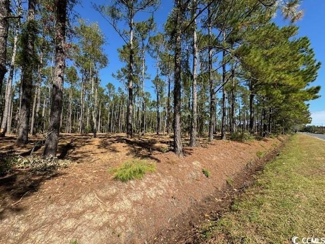 TBD Salem Rd, Aynor, SC 29511 - photo 3