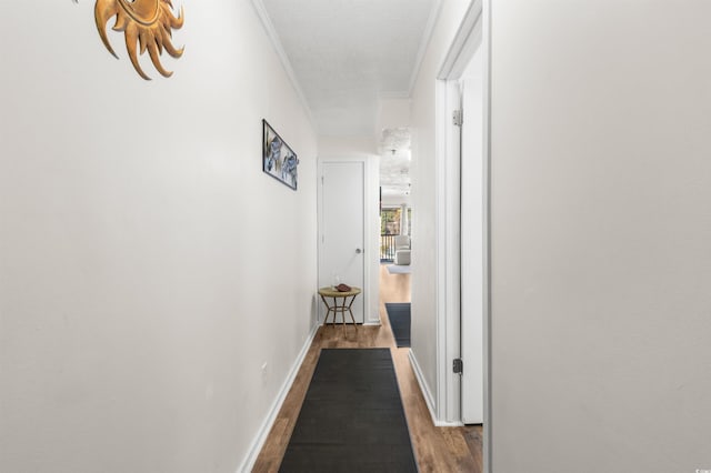 corridor featuring hardwood / wood-style floors and ornamental molding