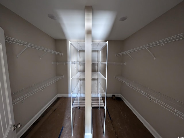 view of spacious closet