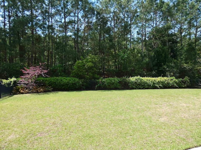 64 Summerlight Dr, Murrells Inlet, SC 29576 - view of yard