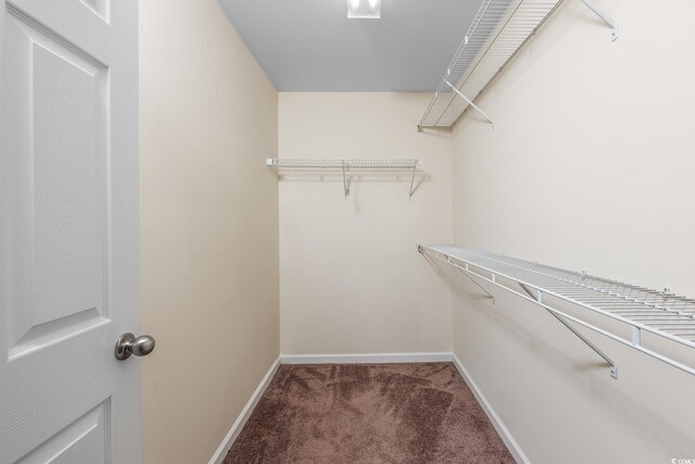 spacious closet with carpet floors