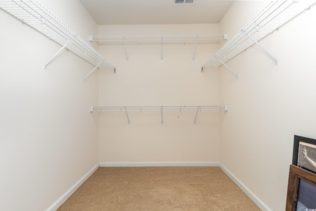spacious closet featuring light colored carpet