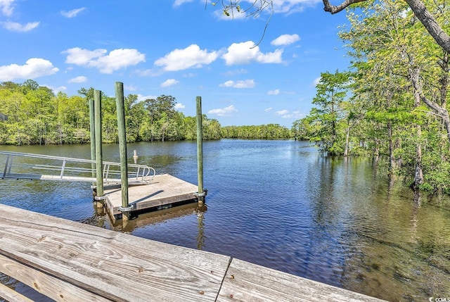 dock area featuring a water view