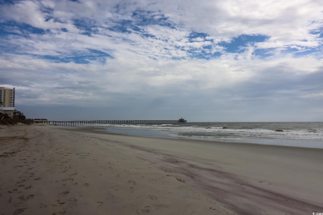 water view featuring a beach view