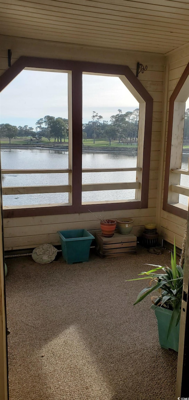 sunroom / solarium featuring a water view and a healthy amount of sunlight