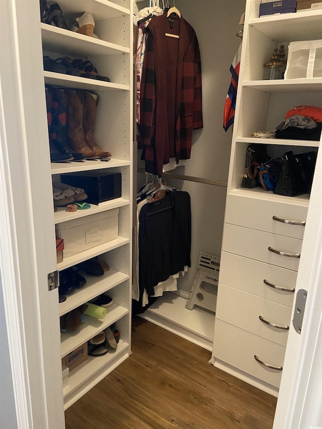 walk in closet featuring dark wood-type flooring