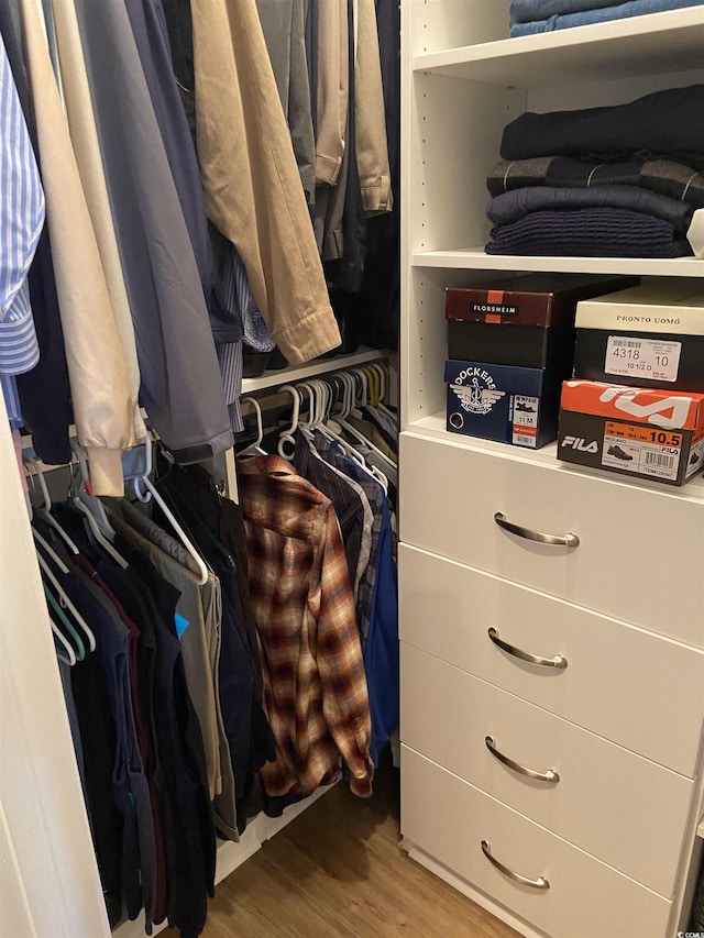 spacious closet with hardwood / wood-style flooring