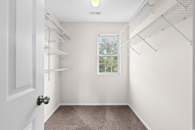 walk in closet featuring carpet flooring