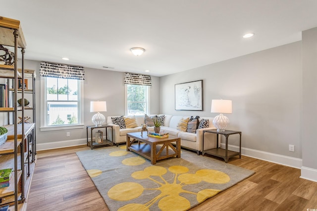 living room with wood-type flooring