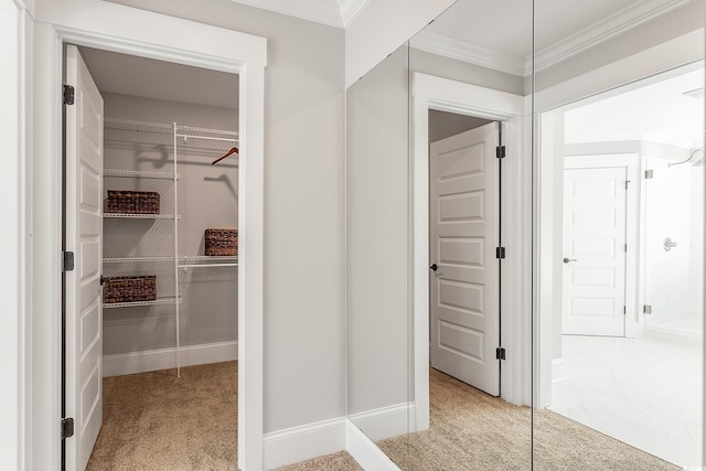 interior space with ornamental molding and light carpet