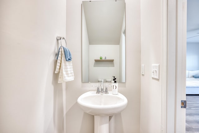 bathroom with hardwood / wood-style floors and sink