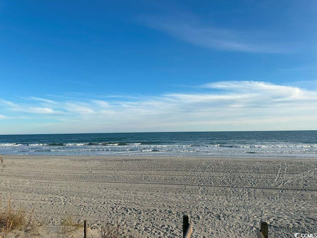 water view featuring a beach view