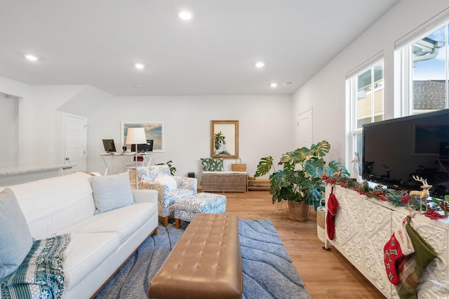 living room featuring light hardwood / wood-style floors