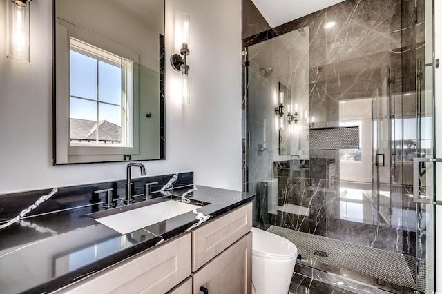 bathroom featuring toilet, vanity, and walk in shower