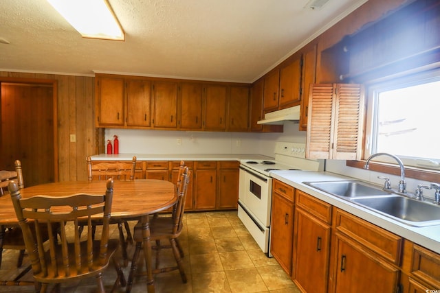 kitchen with white range with electric stovetop, wood walls, crown molding, and sink