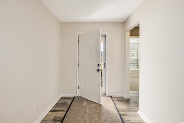 foyer featuring wood-type flooring