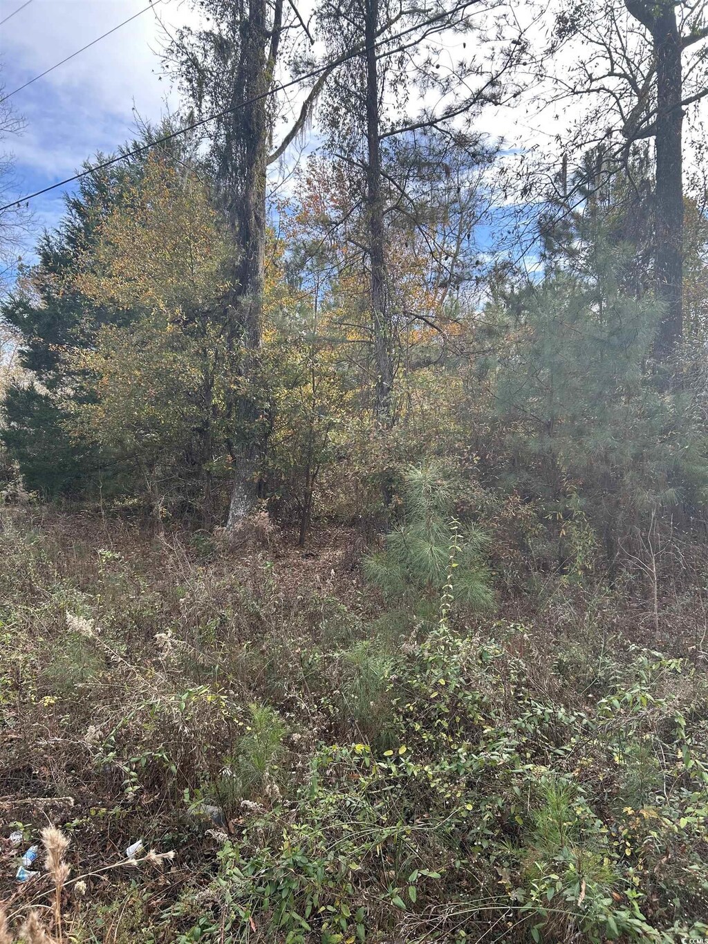 89 Jerusalem Dr, Kingstree, SC 29556 - photo 1