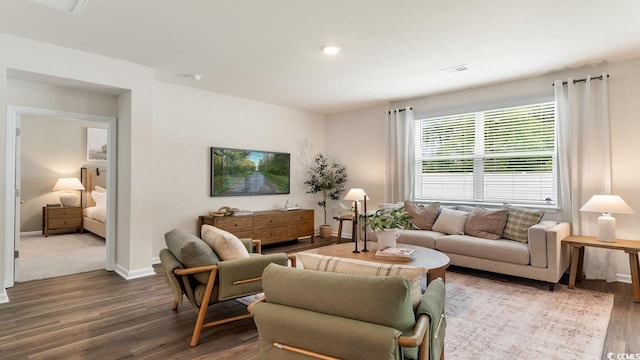 living room featuring dark hardwood / wood-style floors