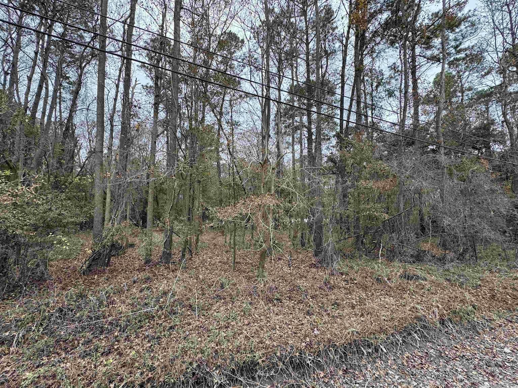 LOT5 New Rd, Conway, SC 29527 - photo 2