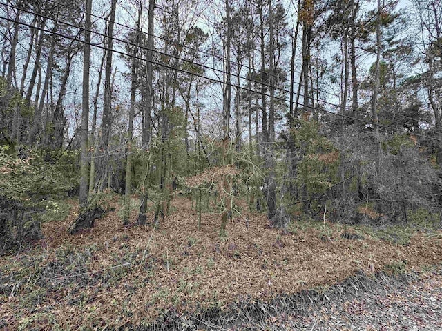 LOT5 New Rd, Conway, SC 29527 - photo 2
