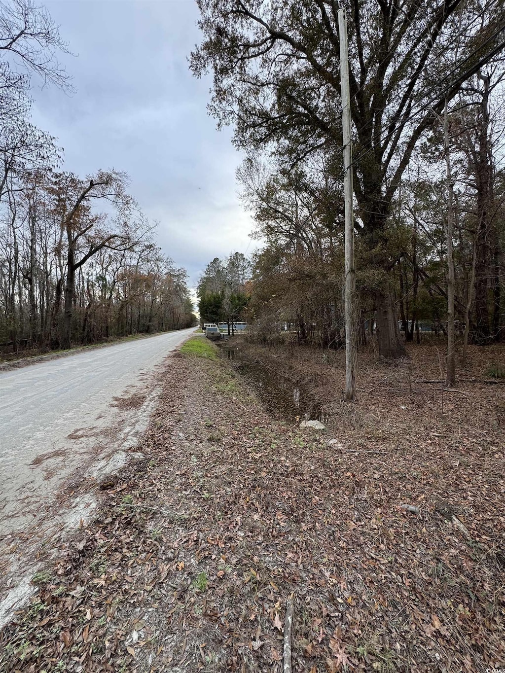 LOT5 New Rd, Conway, SC 29527 - photo 3