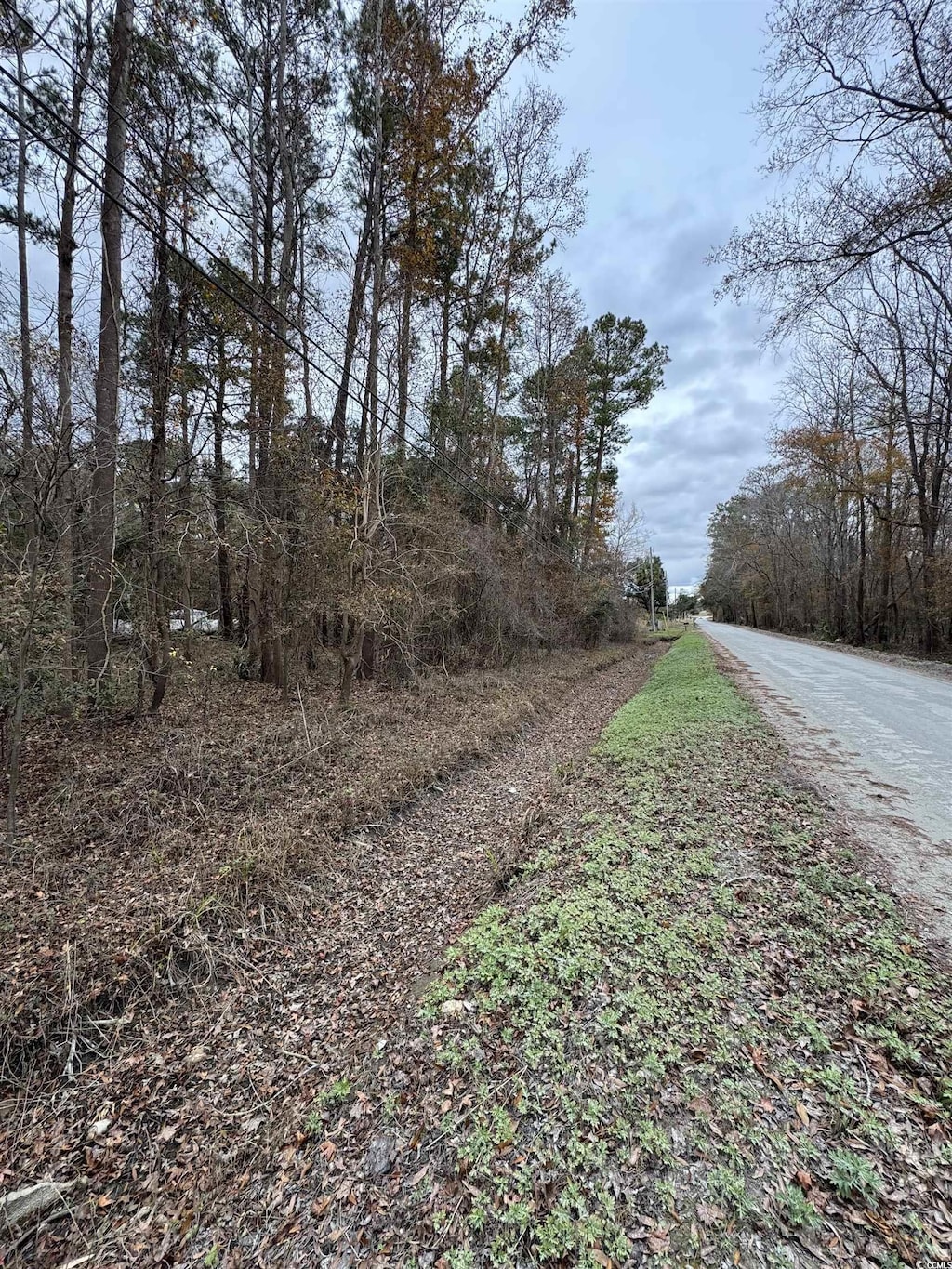 LOT5 New Rd, Conway, SC 29527 - photo 4