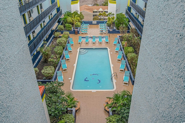 view of pool featuring a patio area