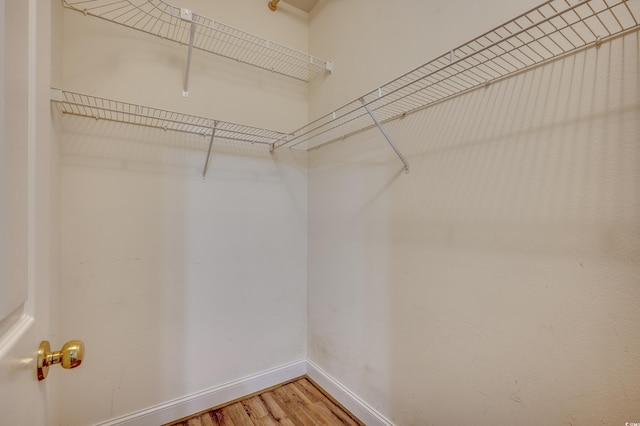 spacious closet with wood-type flooring