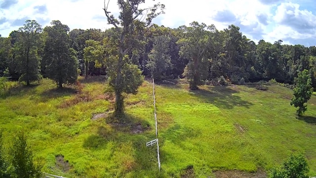 view of local wilderness