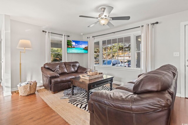 living room with hardwood / wood-style flooring and ceiling fan