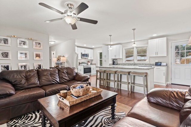 living room with sink, hardwood / wood-style flooring, a wealth of natural light, and ceiling fan